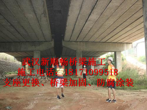 u=1082219094,312658006&fm=15&gp=0_副本.jpg